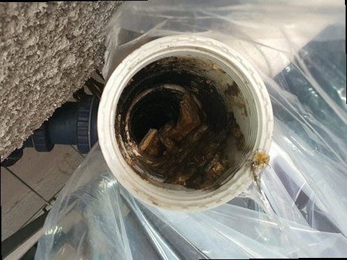 양주 남면 하수구막힘 배관 내부 이물질을 제거하고 통수 상태를 확인하는 작업 모습