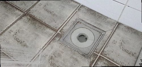 양주 하수구막힘 광적면 하수구막힘 상가 화장실 변기막힘 물이 차오른 현장에서 찾은 해결 순서